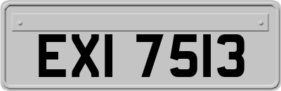 EXI7513