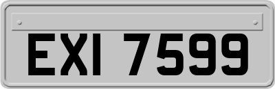 EXI7599