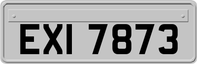 EXI7873