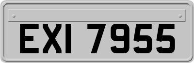 EXI7955