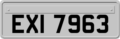 EXI7963