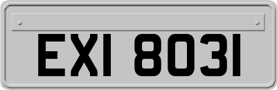 EXI8031