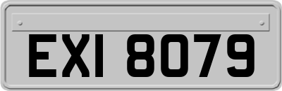 EXI8079