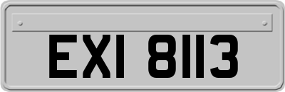 EXI8113