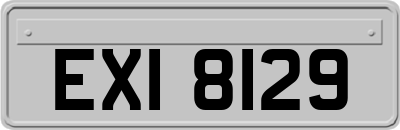 EXI8129