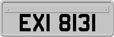EXI8131