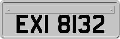 EXI8132