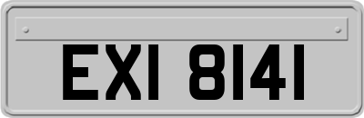 EXI8141