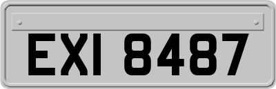EXI8487