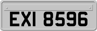 EXI8596