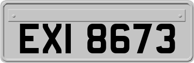 EXI8673