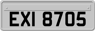 EXI8705