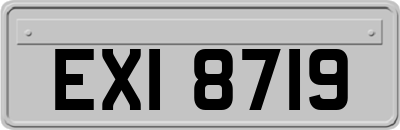 EXI8719