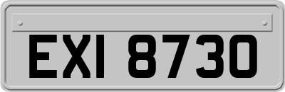 EXI8730