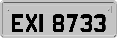 EXI8733