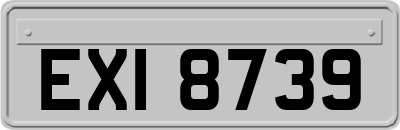 EXI8739