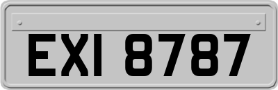 EXI8787