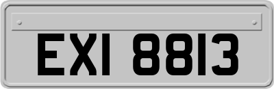 EXI8813