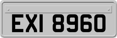 EXI8960