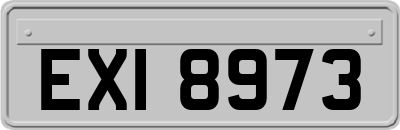 EXI8973