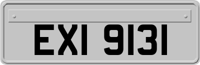 EXI9131