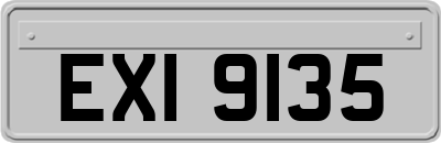 EXI9135