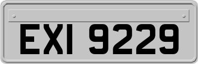 EXI9229