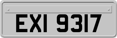 EXI9317
