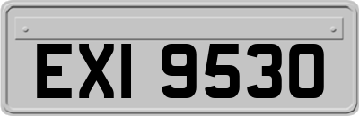 EXI9530