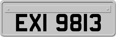 EXI9813