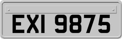 EXI9875