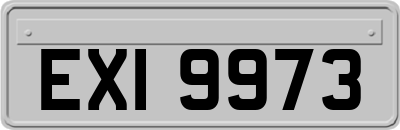 EXI9973