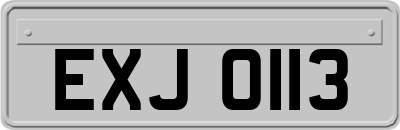 EXJ0113