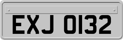 EXJ0132