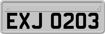 EXJ0203