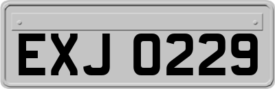 EXJ0229