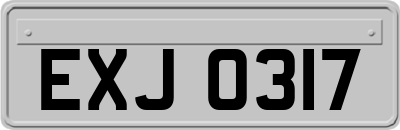EXJ0317