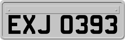 EXJ0393