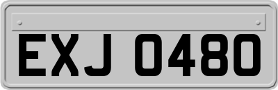 EXJ0480