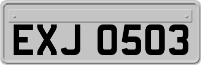 EXJ0503