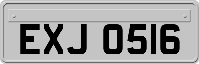 EXJ0516