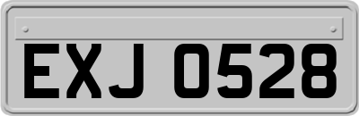 EXJ0528
