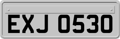 EXJ0530