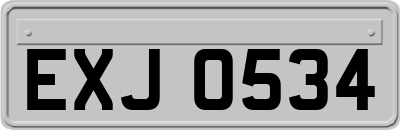 EXJ0534