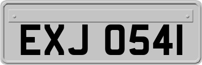 EXJ0541