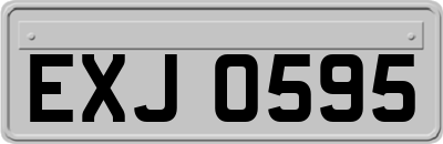 EXJ0595
