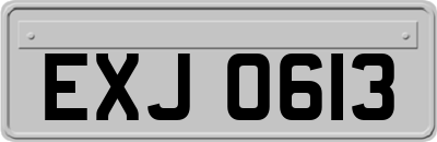 EXJ0613