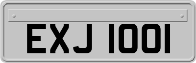 EXJ1001