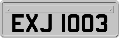 EXJ1003
