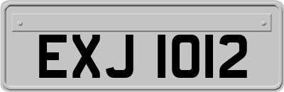 EXJ1012